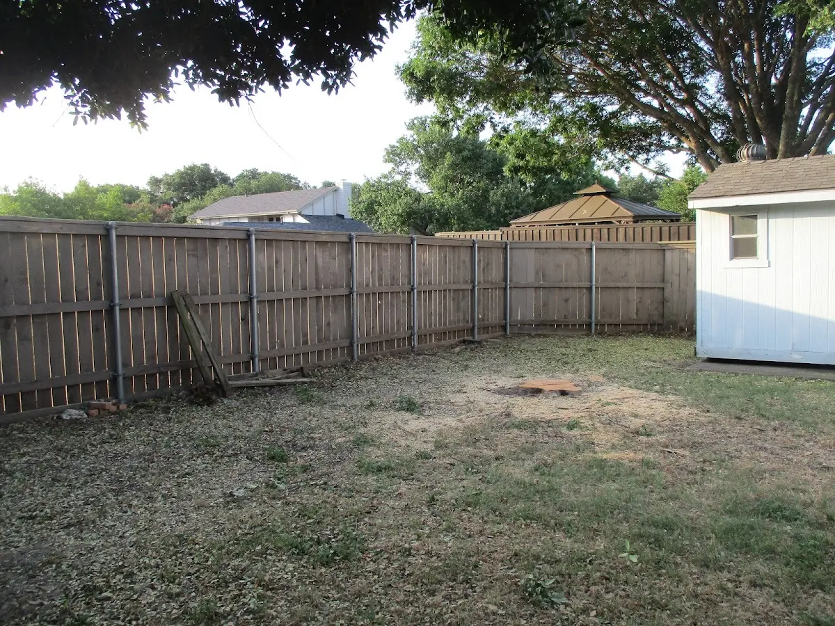 Cleared yard after professional tree removal in Woodland Mills