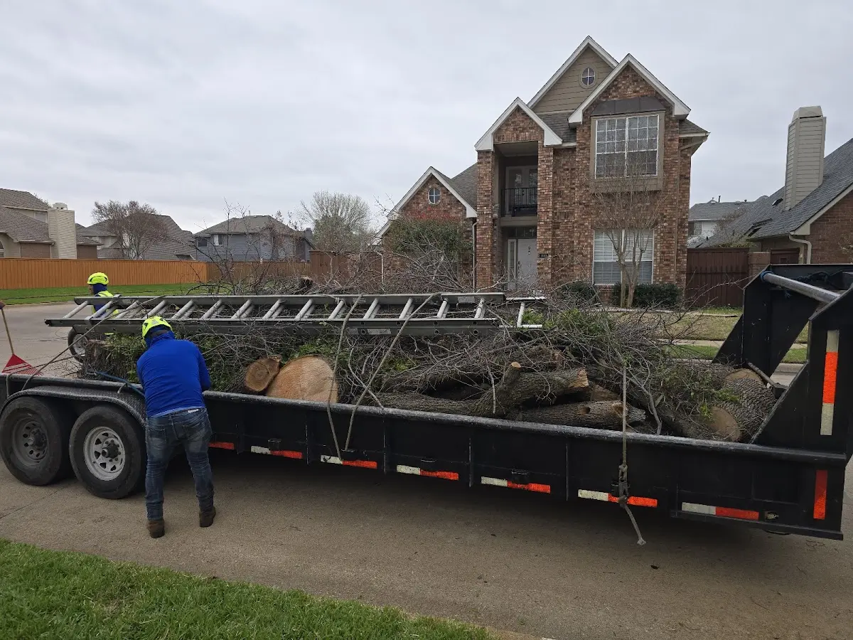 Expert Tree Pest Control with proper safety equipment in Woodland Mills